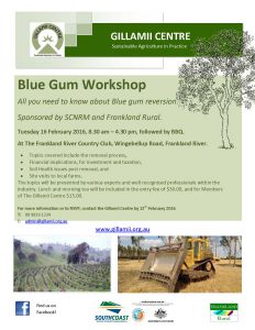 Blue Gum workshop Flyer