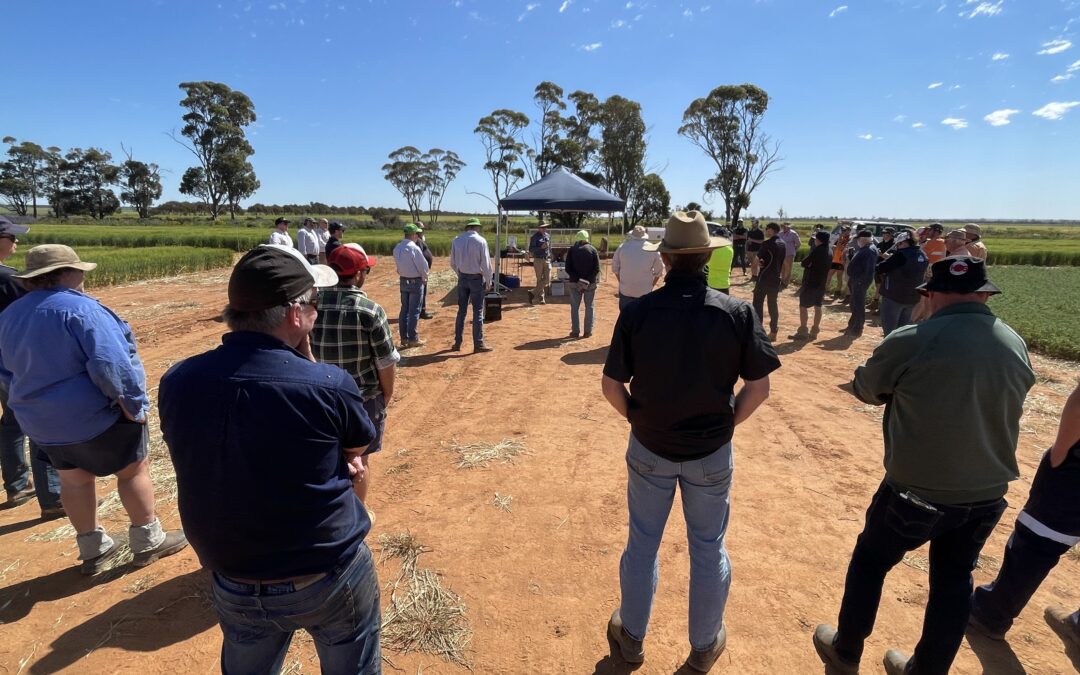 NGN – Frost Management Workshops and Field Days