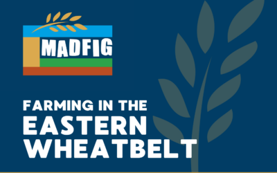 MADFIG Podcast: Grazing into the Future: Rethinking Livestock Forage with the FEED365 Trial