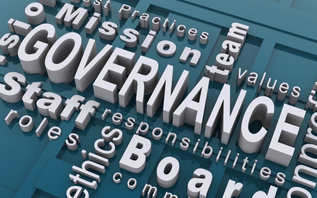 1 Day Governance Workshop